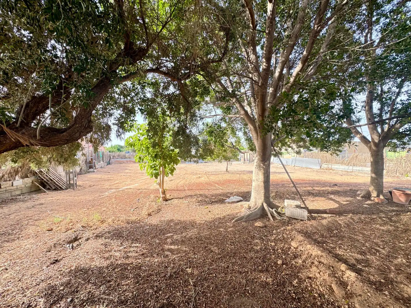 Finca rústica en venda en Elche / Elx