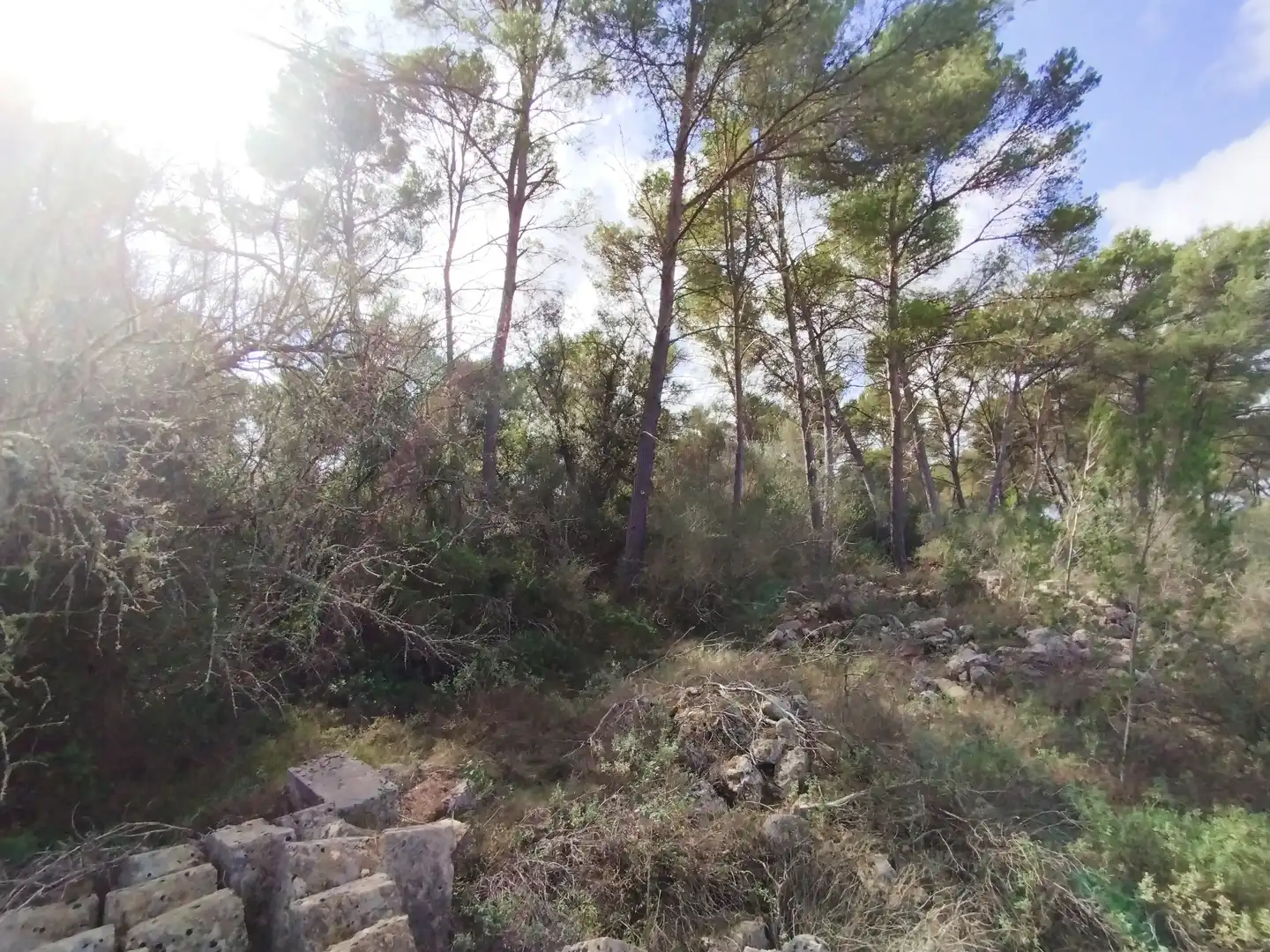 Terreno rustico in vendita a Algaida, imagen 6