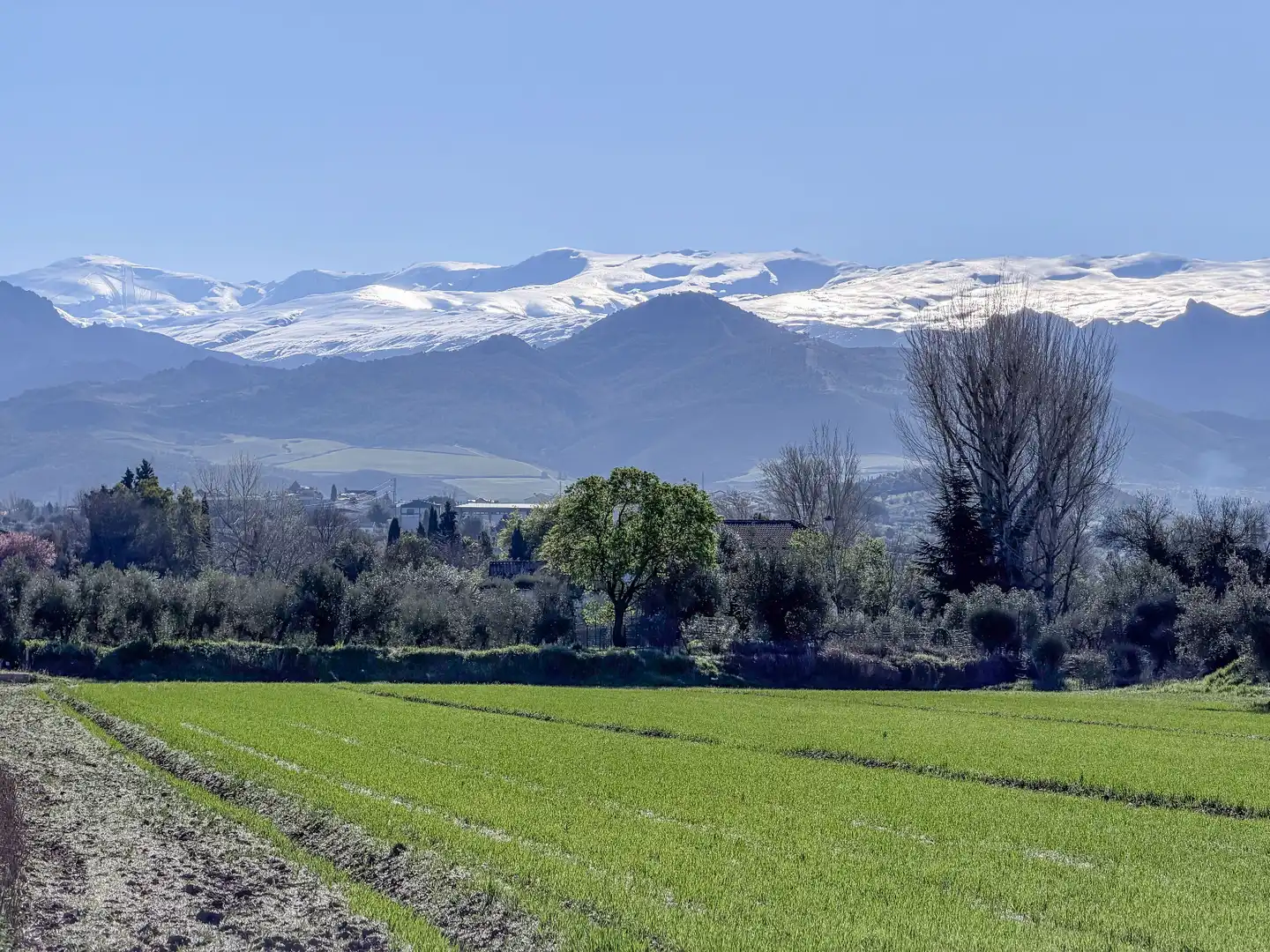 Terreni e lotti in vendita a Camino del Cerro 189, imagen 15
