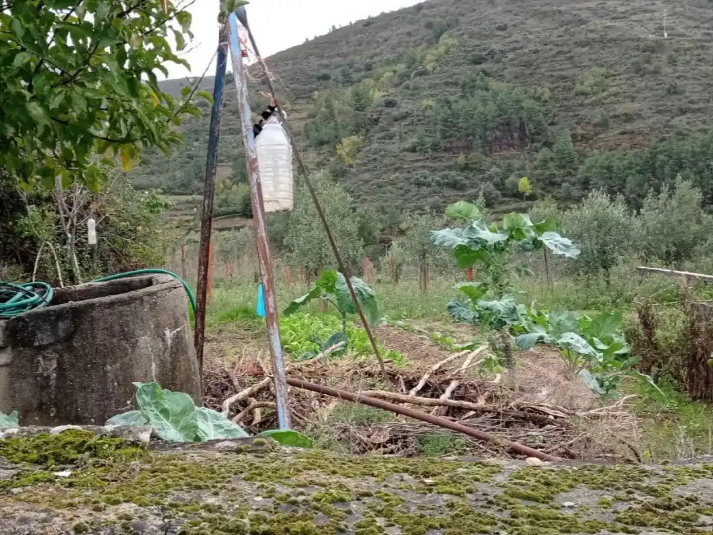 Jardí de Casa adosada en venda en Petín amb Moblat