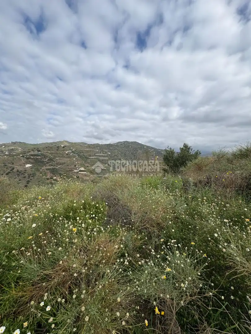 Terreny rústic en venda a Algarrobo pueblo, imagen 8