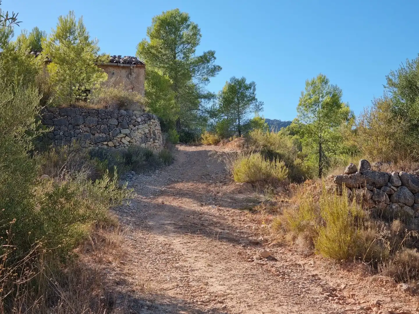 Lands and plots for sale in poligono 7 parcela 274, imagen 2