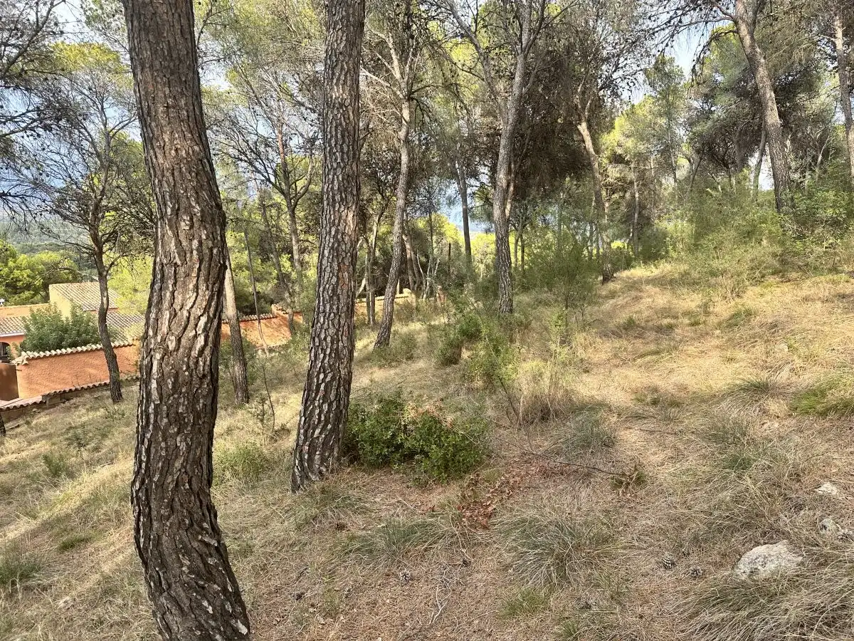 Wohnbaugrundstück zum Verkauf in Torres Torres, imagen 47