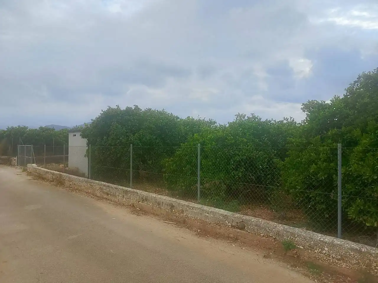 Terreny rústic en venda a Sector Enmig, imagen 8