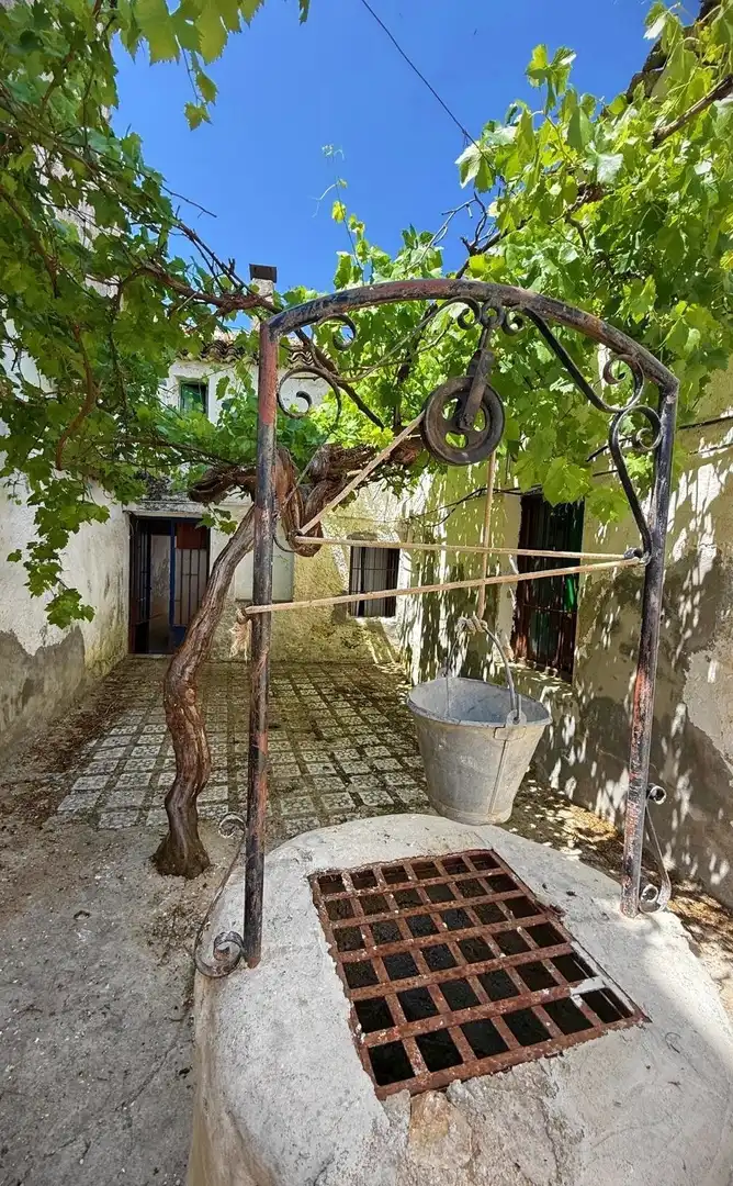 Garden of Detached homes for sale in Alfarnate  with Private garden and Terrace