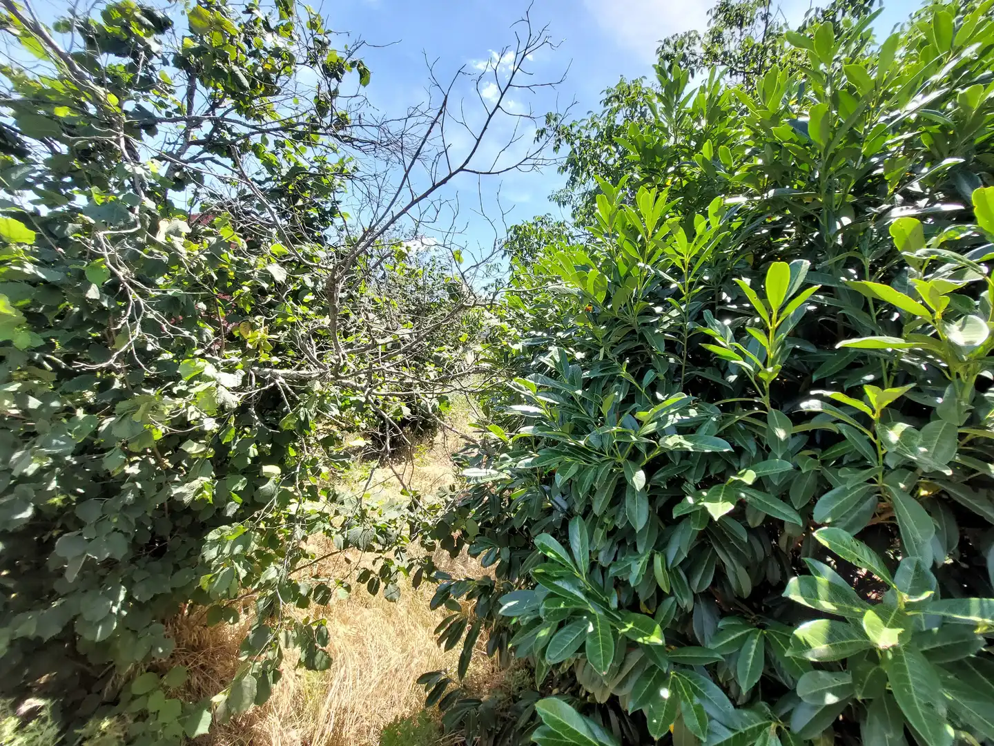 Terreni e lotti in vendita a Villaquilambre, imagen 5
