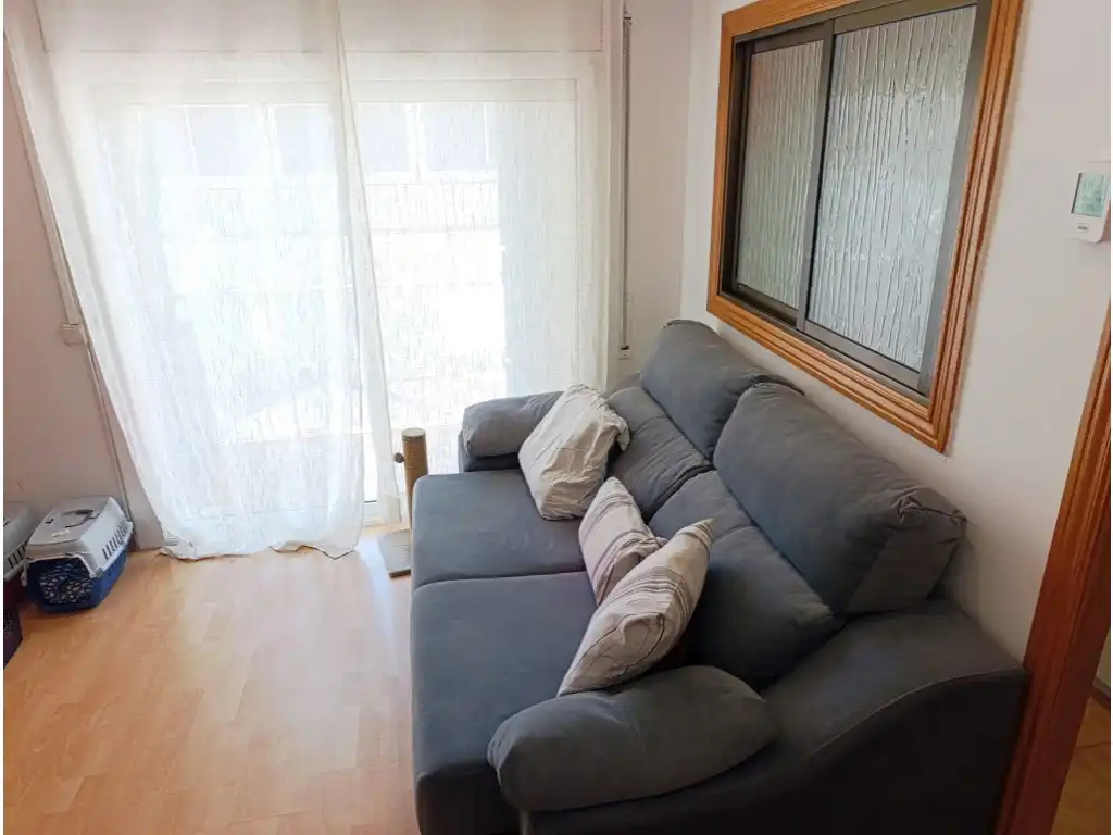 Sala d'estar de Pis en venda en Pineda de Mar