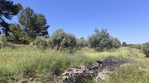 Foto 3 de Casa o chalet en venta en Ibi, Alicante