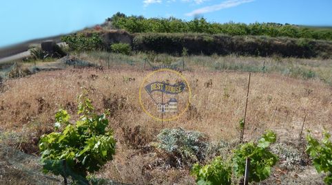 TERRENO CON REFUGIO EN AGULLENT, imagen 3