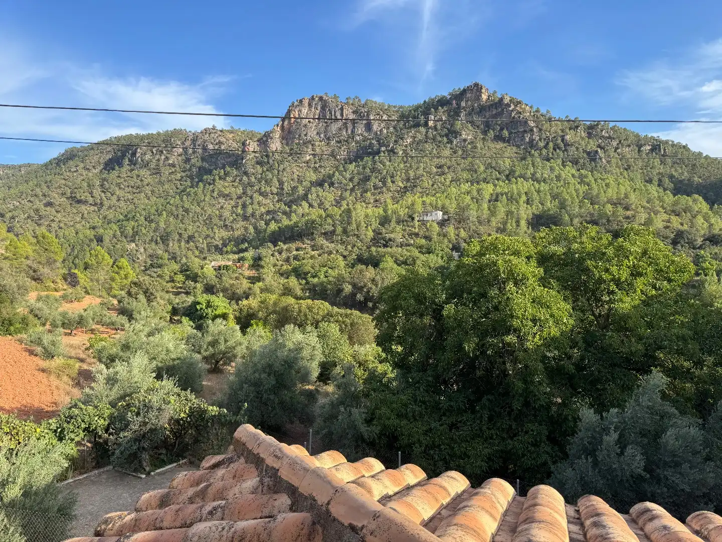 Vista exterior de Terreno en venta en Molinicos