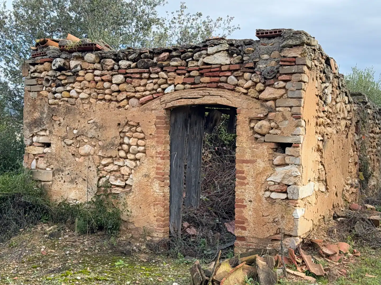 Terrain rustique à vendre à Camí de Vallmoll a Valls 17, imagen 13