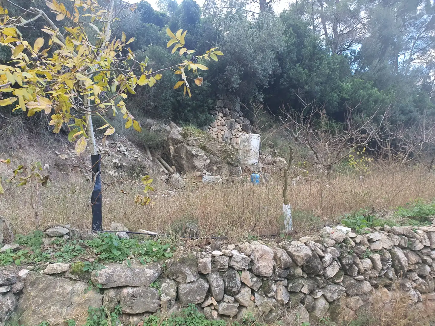 Terreno rústico en venta en Benifallet, imagen 9