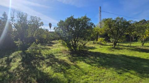 Photo 4 of Residential for sale in Urbanizacion Urbanización Pulpejas I , Loreto, Sevilla