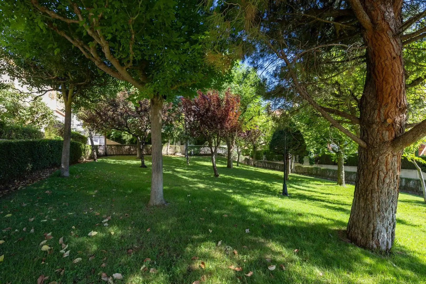 Casa bifamiliare con piscina in vendita a Calle DR FLEMING, imagen 46