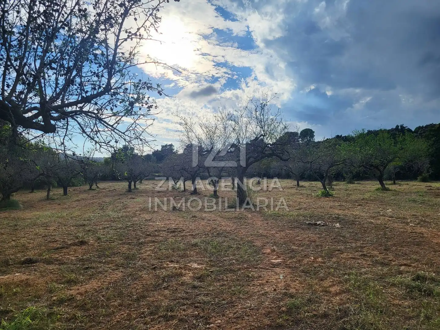 Terreno rustico in vendita a Traiguera, imagen 18