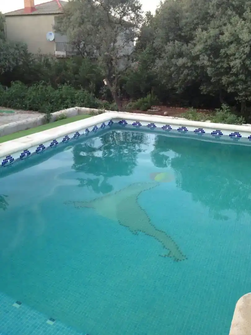 Piscina de Casa o chalet de alquiler en Almagro con Aire acondicionado, Jardín privado y Piscina