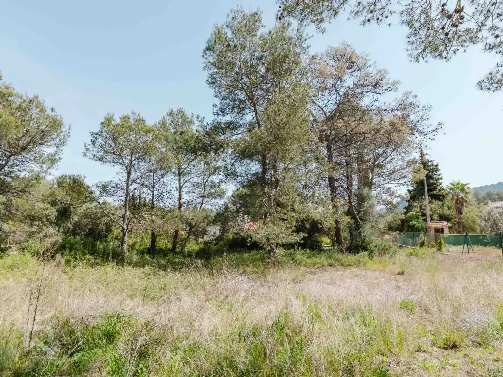 Casa o chalet en venta en Vilallonga / Villalonga