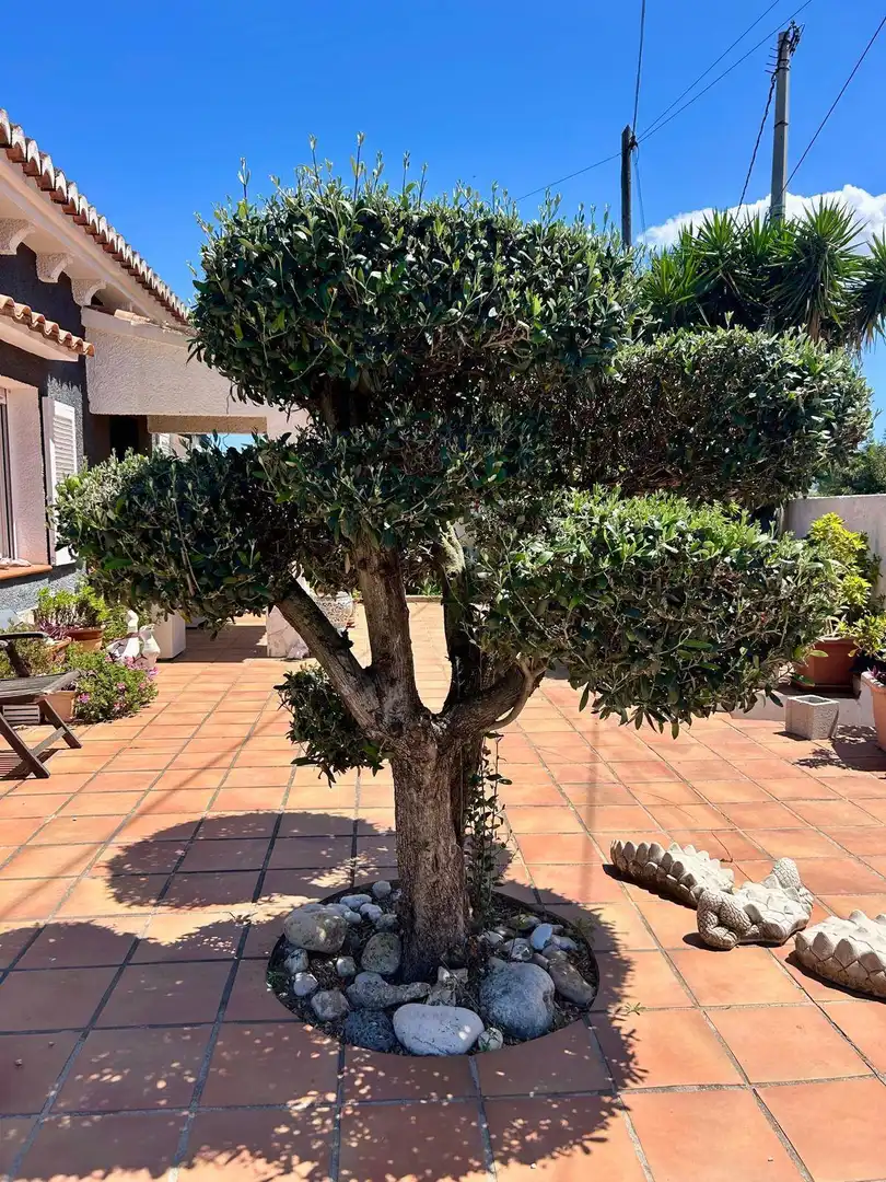 Casa rústica con jardín en venta en El Verger, imagen 37