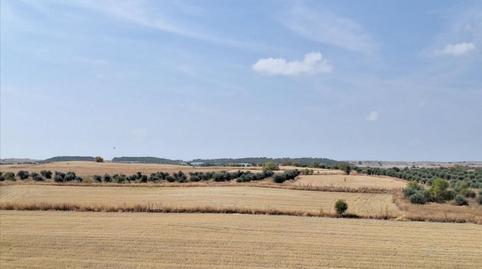 Foto 2 de Residencial en venta en Calle Salinas, 6, Altos del Olivar - El Caracol, Madrid