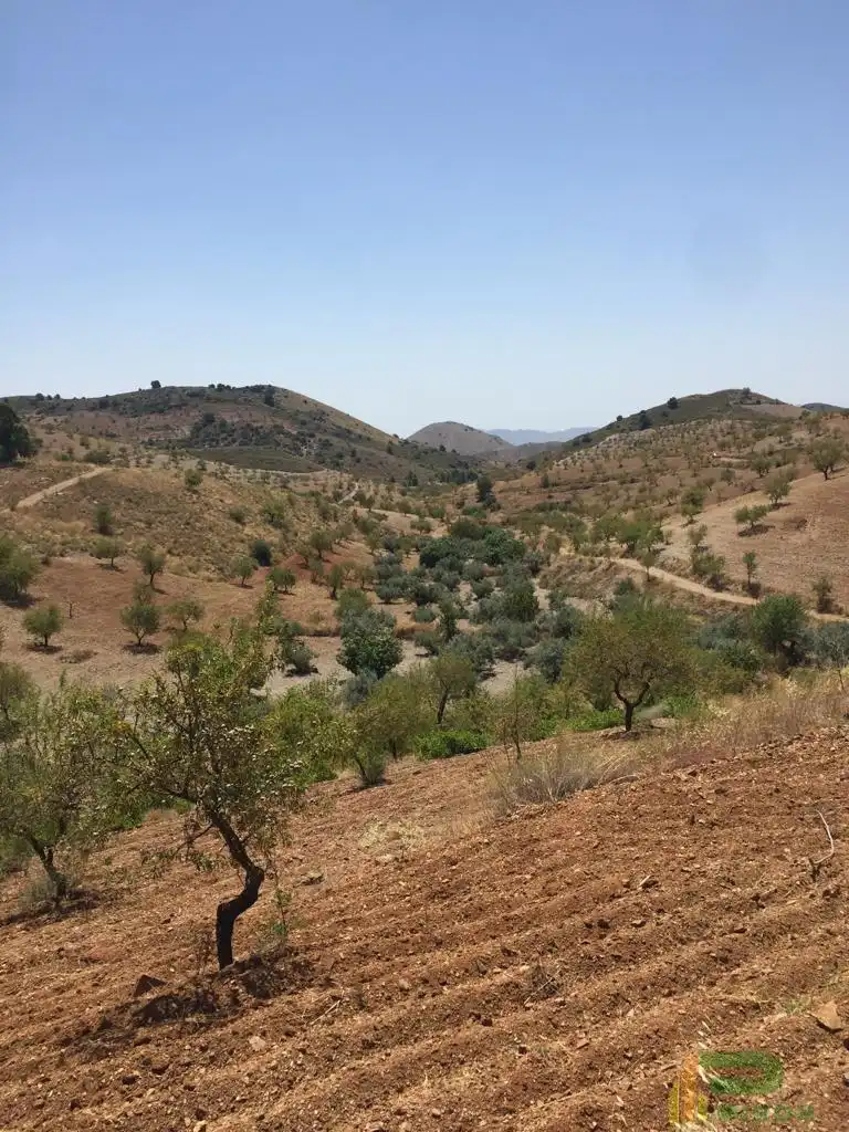 Terreni e lotti in vendita a Sierra de La Torrecilla, imagen 3