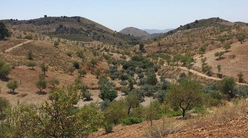 Foto 3 de Residencial en venta en Sierra de la Torrecilla, Torrecilla, Lorca