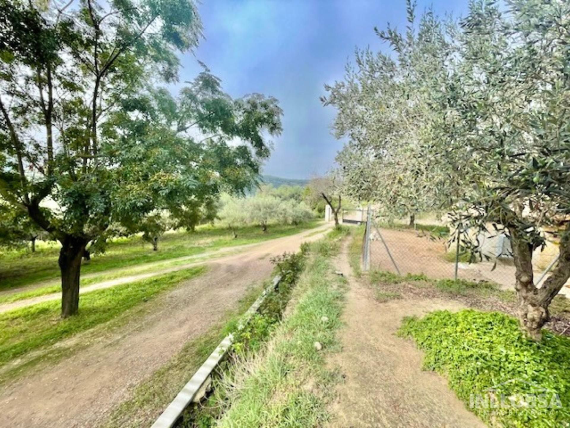 Casa o xalet en venda en Manresa amb Calefacció