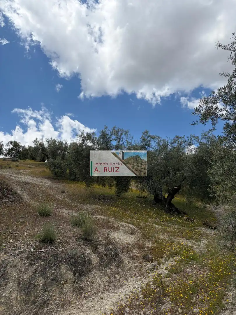Rural land for sale in Iznájar, imagen 11