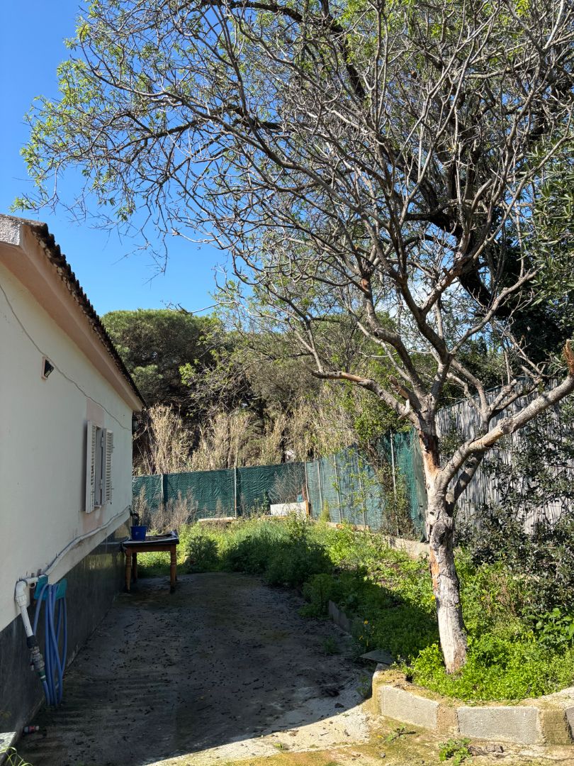 Jardí de Finca rústica en venda en Blanes amb Jardí privat