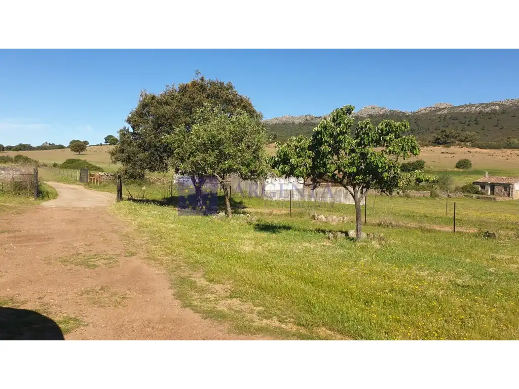 Houses for sale in Plaza Manuel De Falla, Zona Norte - Hospital - Urbanizaciones