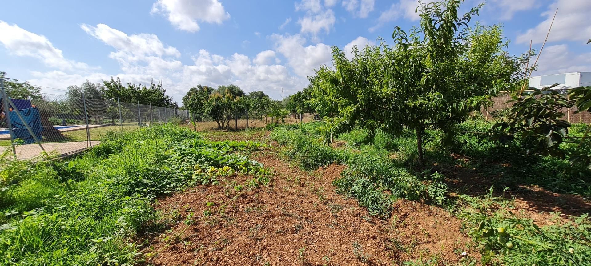 Country house for sale in Búger  with Terrace