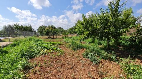 Photo 3 of Country house for sale in Búger, Illes Balears