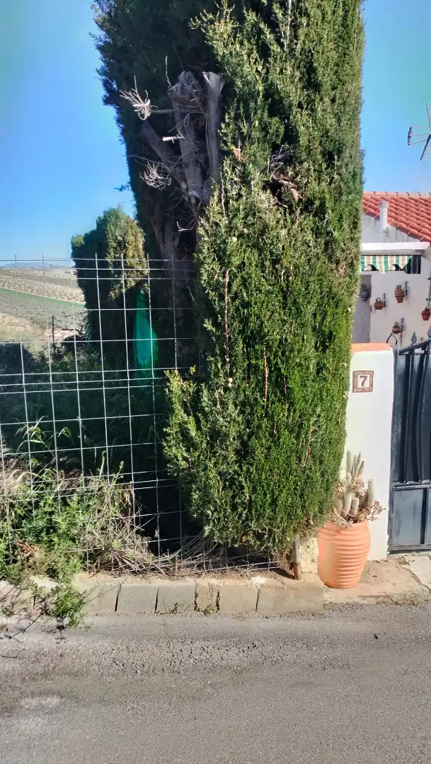 Garden of Residential for sale in Ventas de Huelma