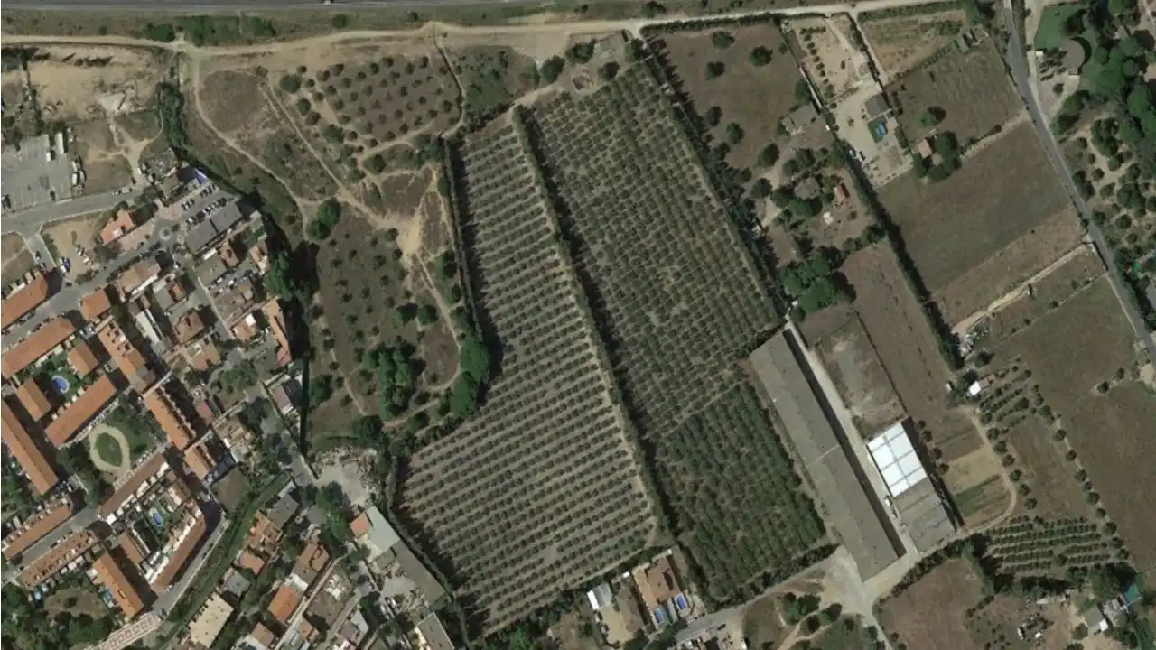 Terreny rústic en venda a Ptda Las Canals - Las Teclas -, imagen 3