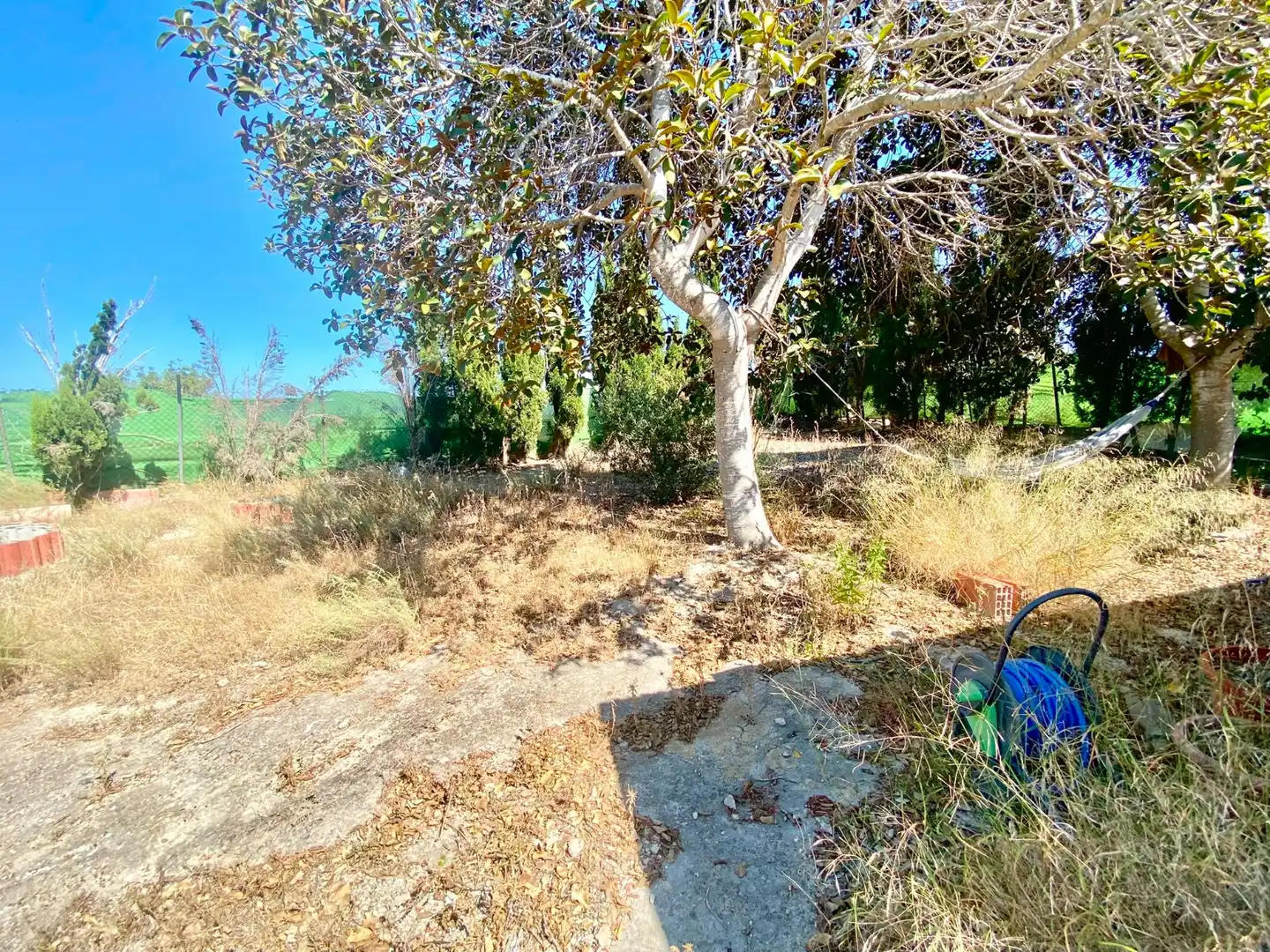 Terrenos y solares en venta en San Miguel de Salinas, imagen 14