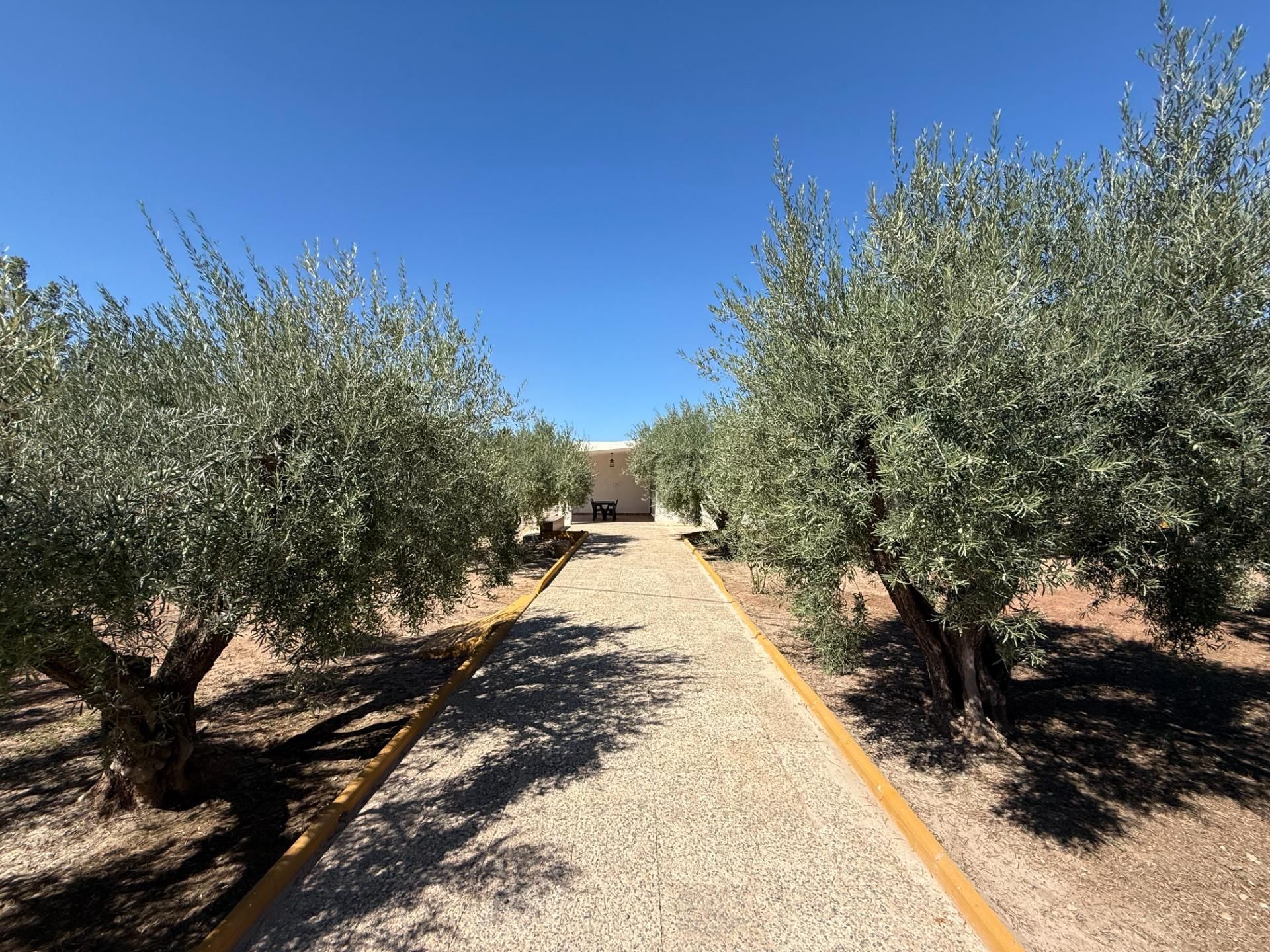 Casa o xalet en venda a Jubalcoi