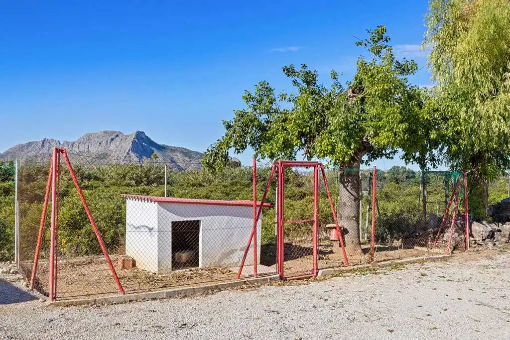 Villa avec piscine à vendre à Carretera de Alcalí a la Playa, imagen 38