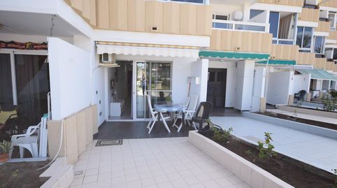 Foto 3 de Estudio de alquiler en Playa del Inglés, San Bartolomé de Tirajana