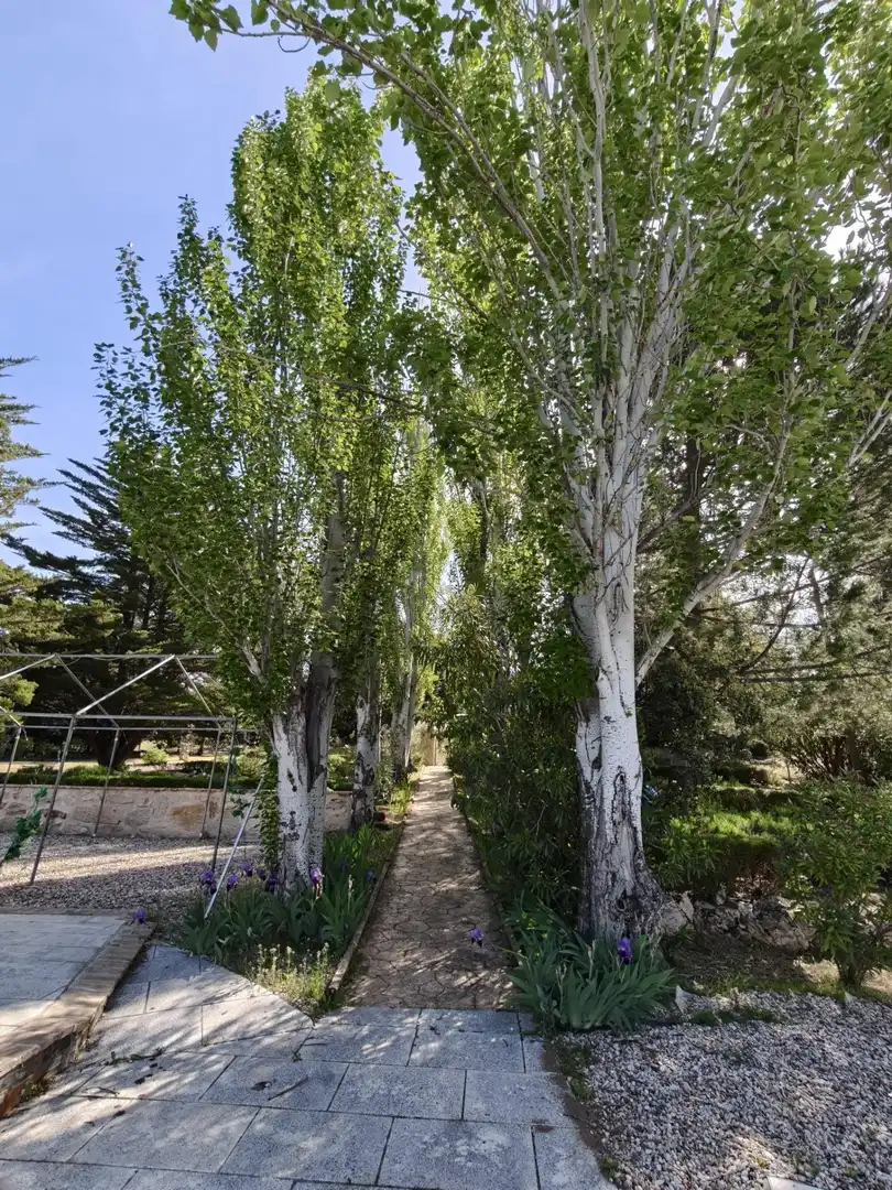 Chalet en venta en CERRO PALOS poligono 45 parcela 63, imagen 20