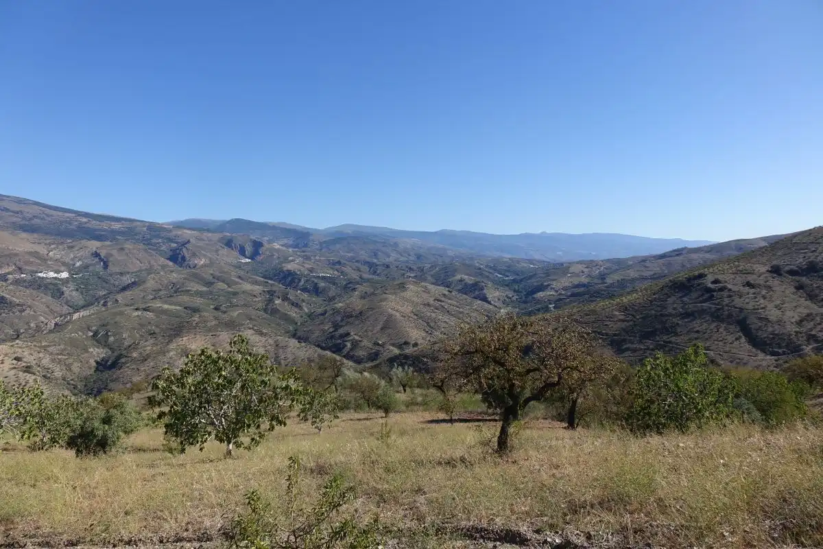 Xalet en venda a Torvizcón, imagen 22