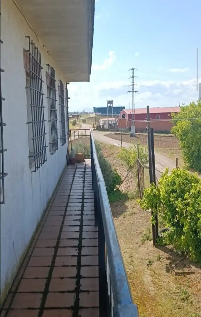 Vista exterior de Casa o chalet en venta en Navalcarnero