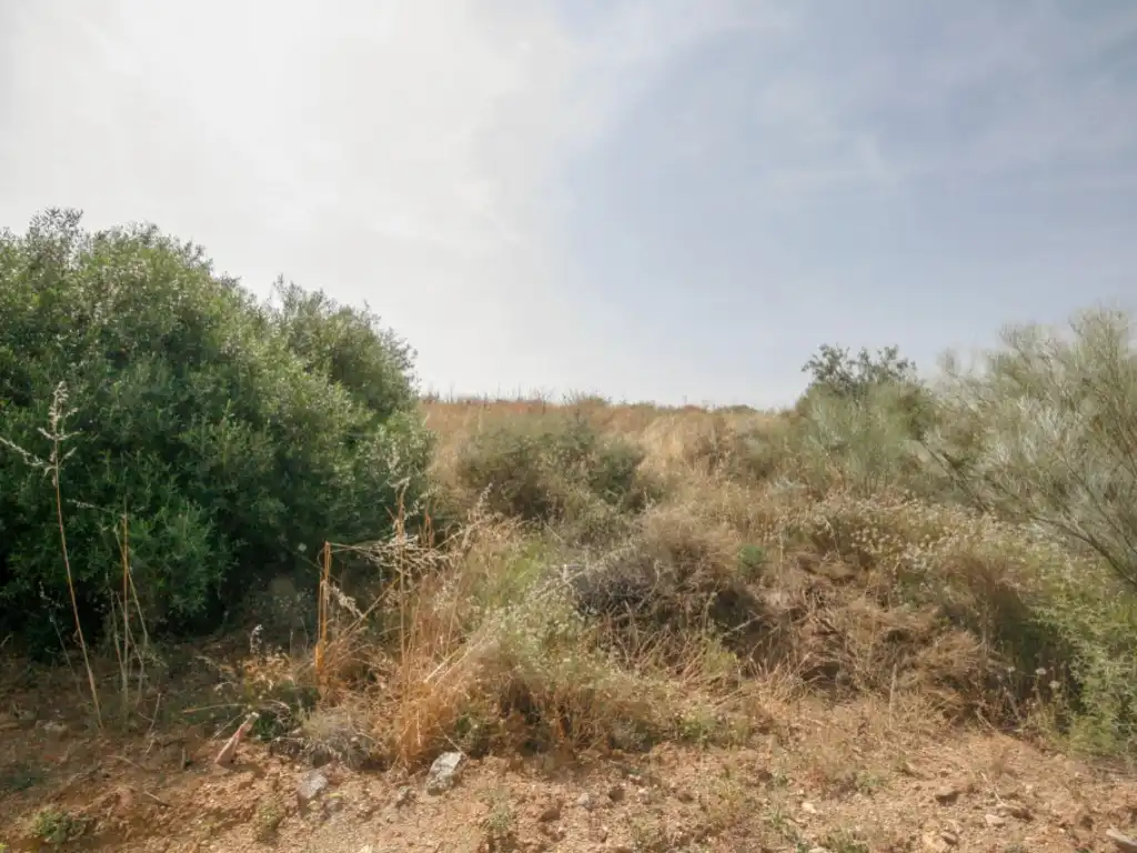 Terreno residenziale in vendita a Terrenos Sup.R.20, imagen 10