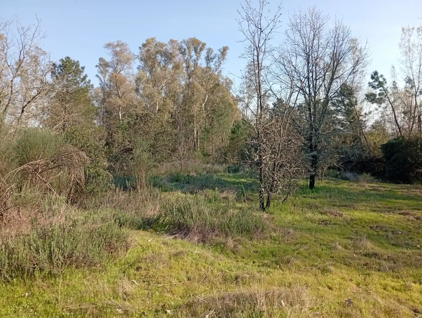 Terreni e lotti in vendita a Villanueva de la Vera, imagen 62