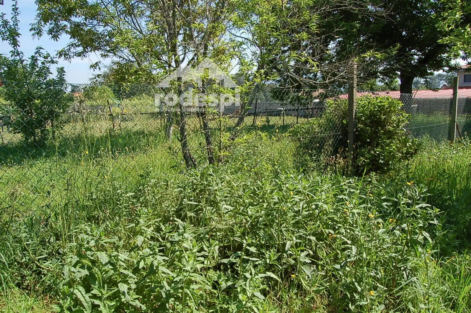 Terrenys i solars en venda a Ponteareas, imagen 2