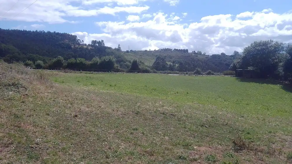 Terrenys i solars en venda a Polígono 41. Parcela 320 1, imagen 10