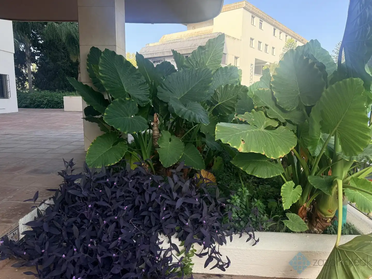 Flat with terrace for sale in Iris-ur nva andalucia, imagen 19