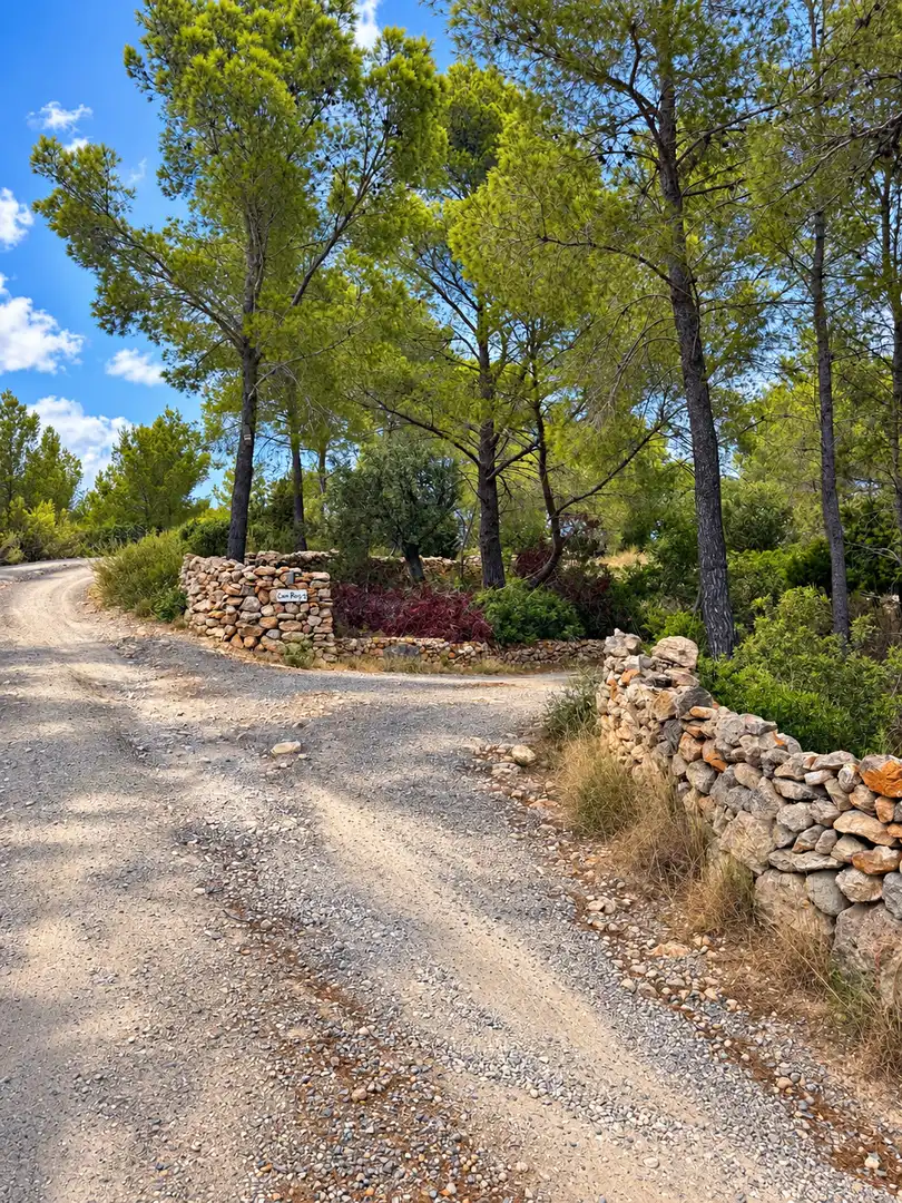 Rural land for sale in Sant Joan de Labritja, imagen 10