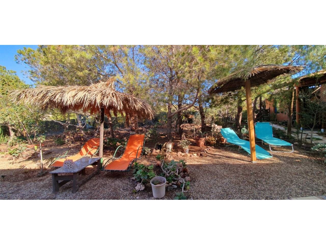 Garden of House or chalet for sale in Níjar  with Air Conditioner, Heating and Private garden