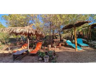 Jardí de Casa o xalet en venda en Níjar amb Aire condicionat, Calefacció i Jardí privat