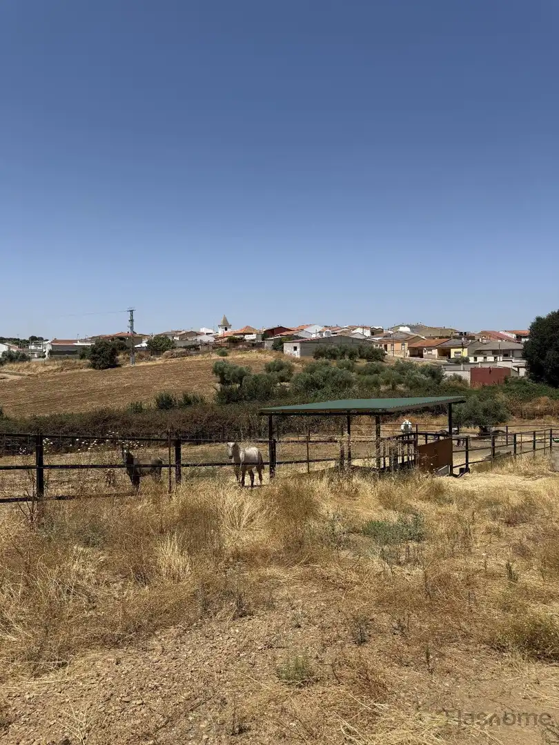 Vista exterior de Finca rústica en venta en San Pedro de Mérida con Amueblado