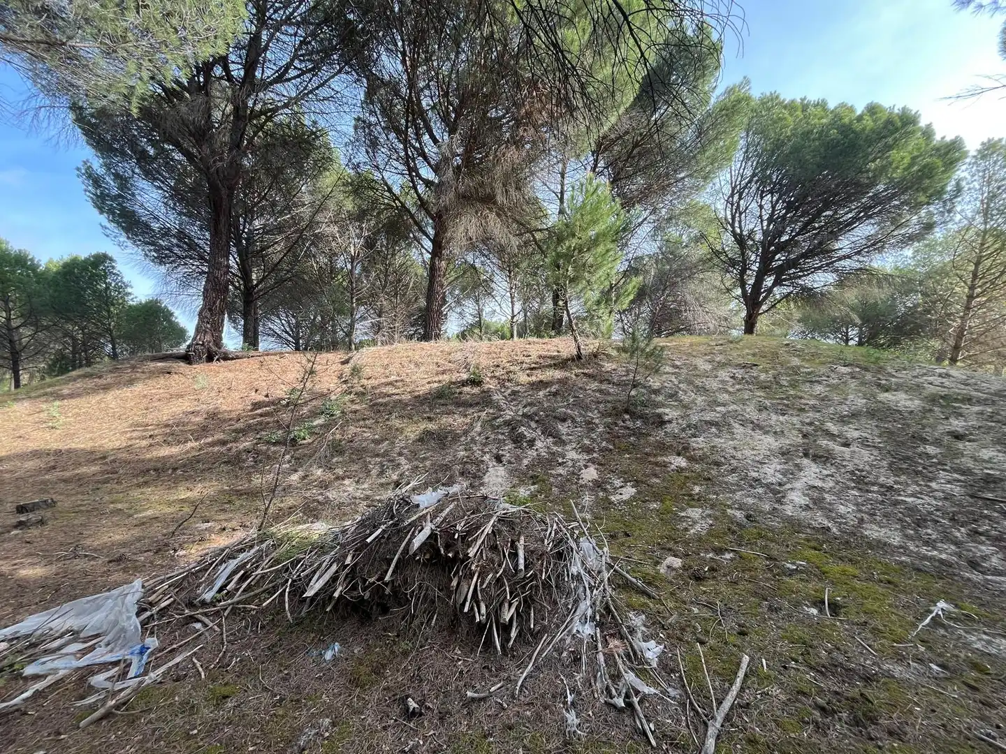 Terreno en venta en Tudela de Duero